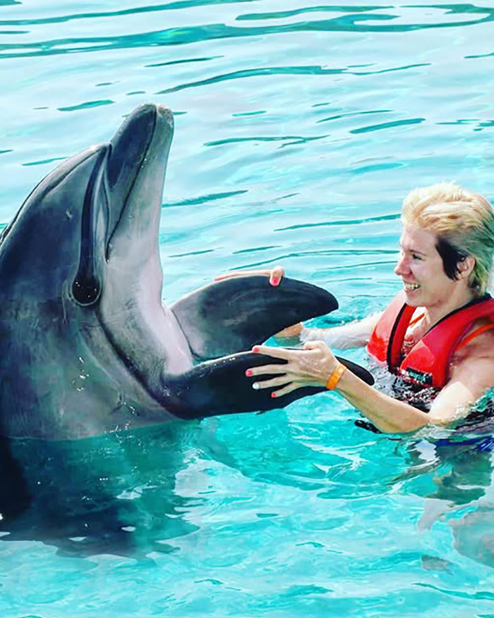Kumkoy Dolphin Swimming Session With Hotel Transfer