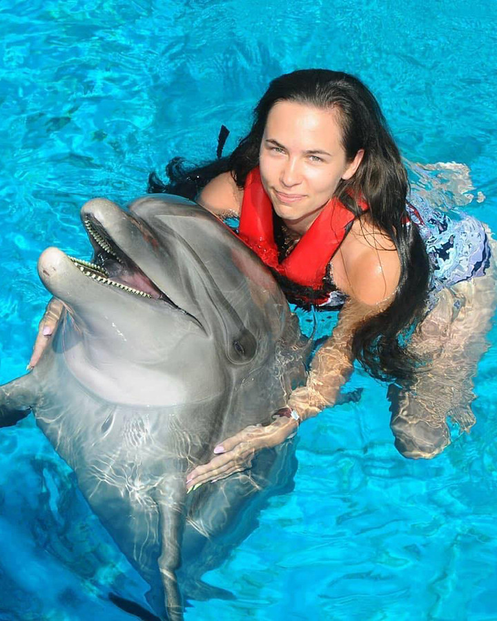 Kizilagac Dolphin Swim Excursion From Resort Hotels