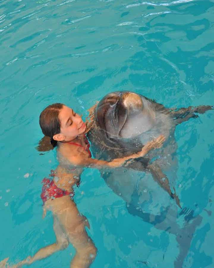 Gundogdu Dolphin Encounter With Transfer Service
