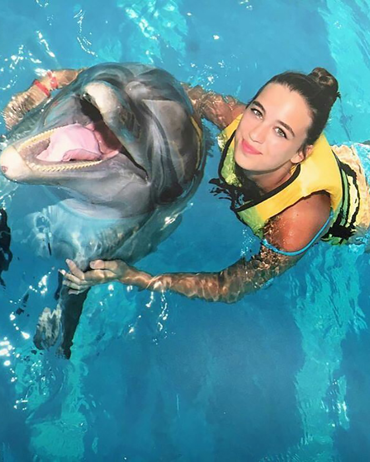 Dolphin Swimming in Side