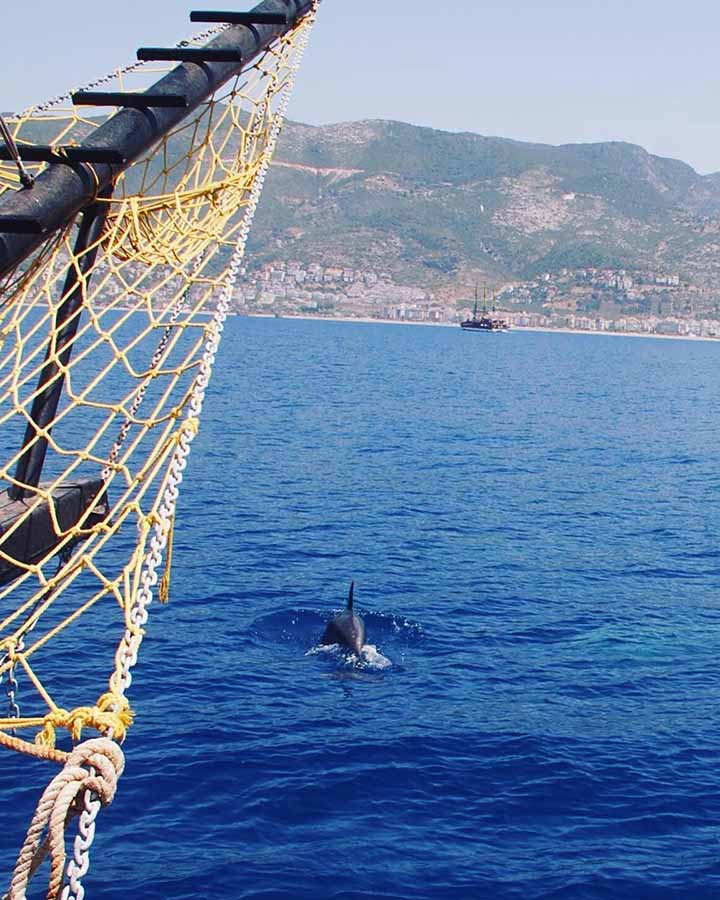 Manavgat Dolphin Island Boat Excursion with Transfers