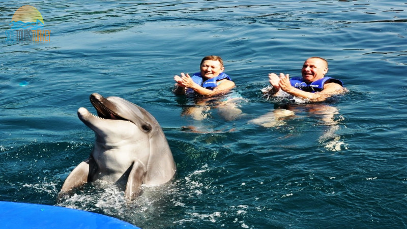 Dolphin park in Side Turkey