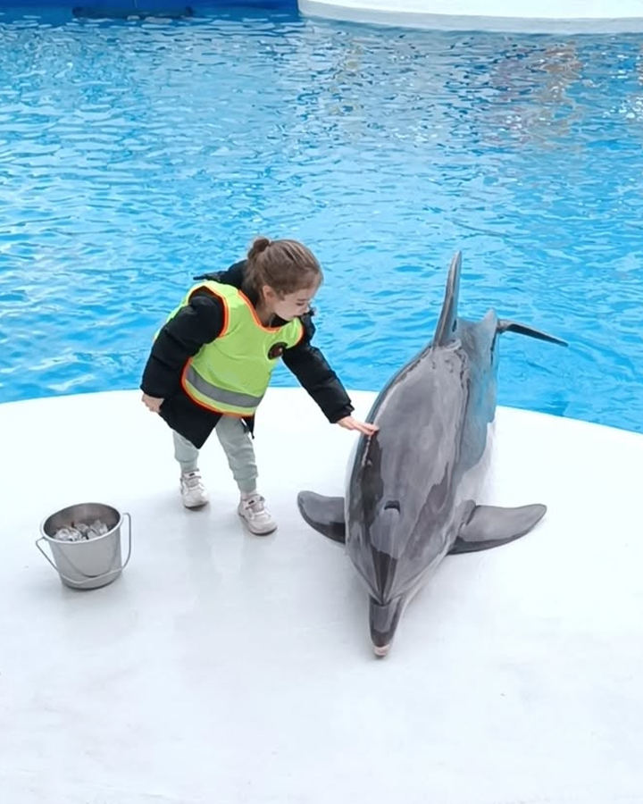 Dolphinarium Excursion from Side