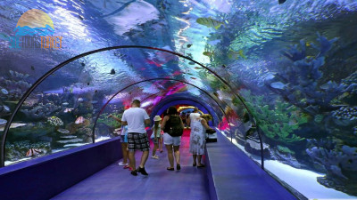 Antalya aquarium tour from Side