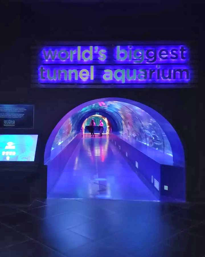 Snow World and Ice Museum