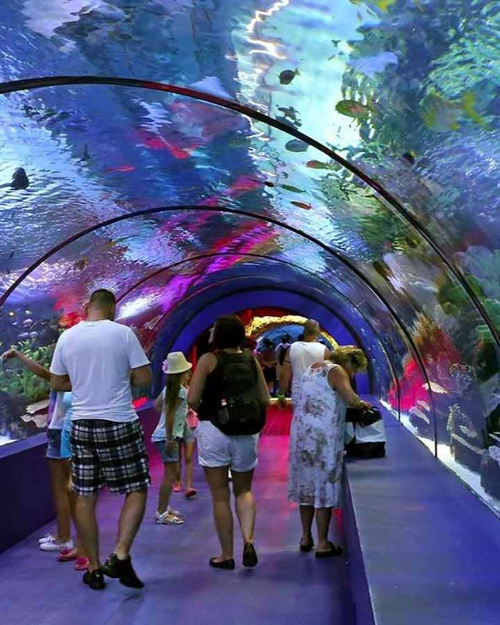 Tunnel Aquarium Tour from Kumkoy