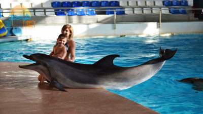 Antalya dolphin park from Side